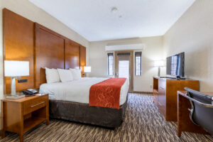 Pet-Friendly King Bedroom at Comfort Suites Golden West On Evergreen Parkway, CO