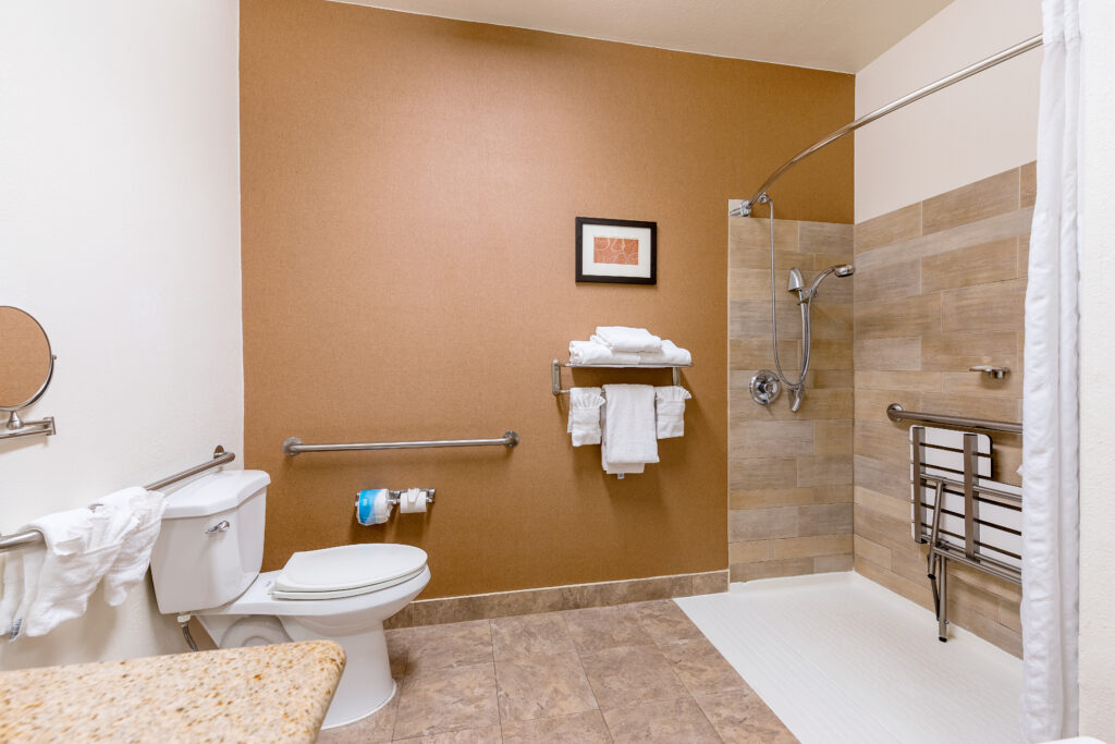 ADA compliant bathroom at Comfort Suites Golden West in Colorado