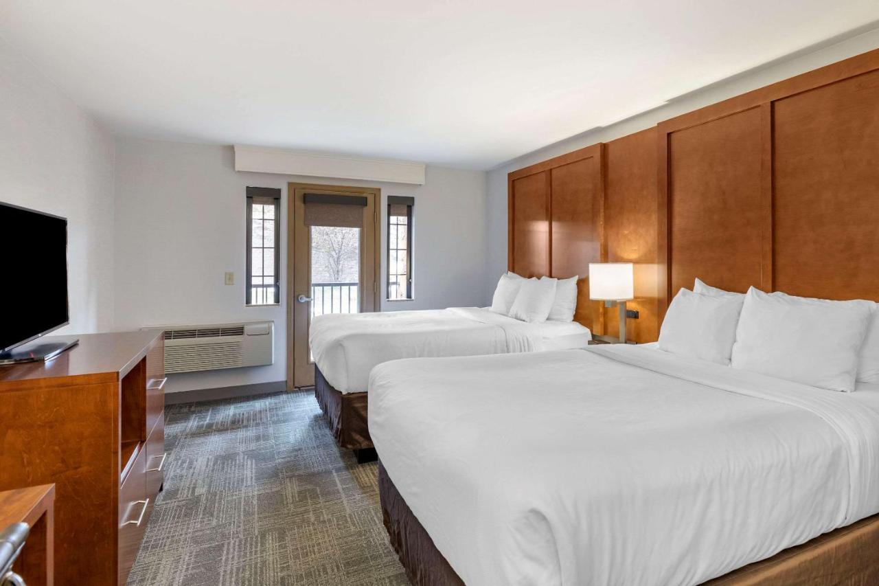 368273831 Double Queen room